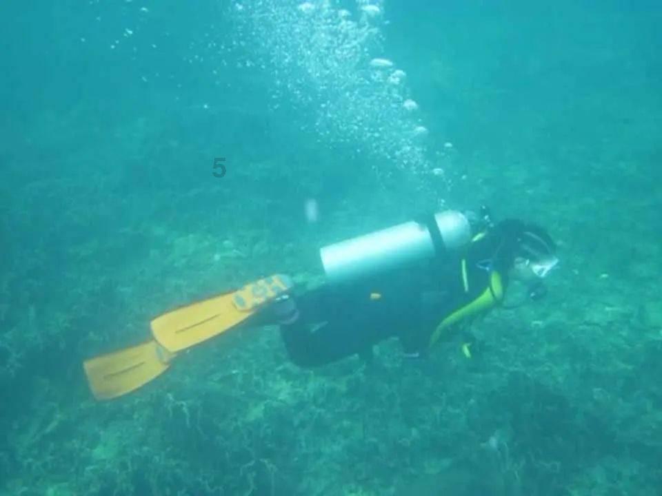 逃出诡异的塔楼